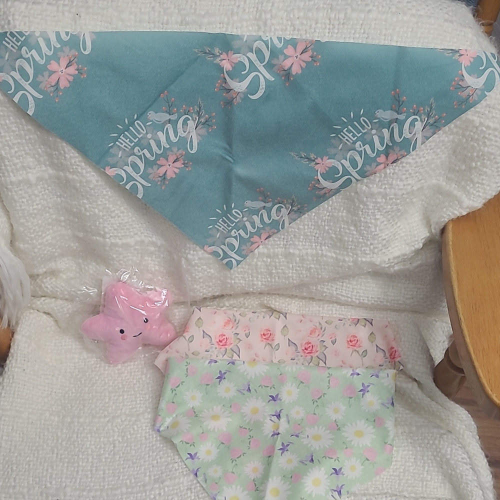 Floral Dog Bandana and Dress Set